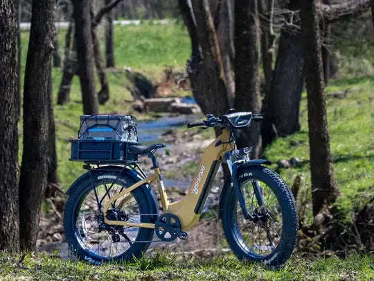 YOUNG E-Scout Pro Step-Through Commuter E-bike