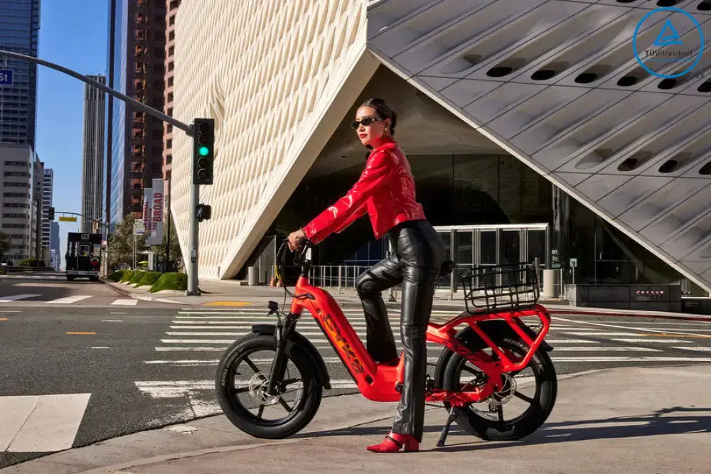 CYKE COLLIE CARGO EBIKE